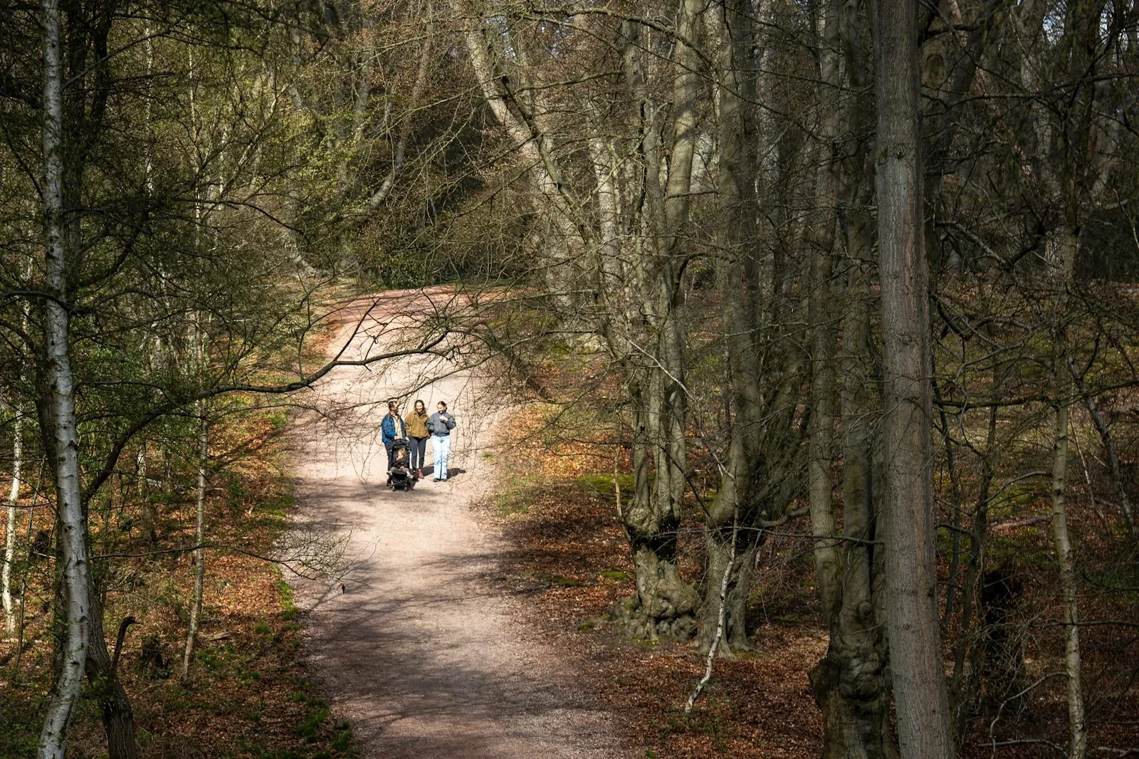 A family walking together on a woodland path